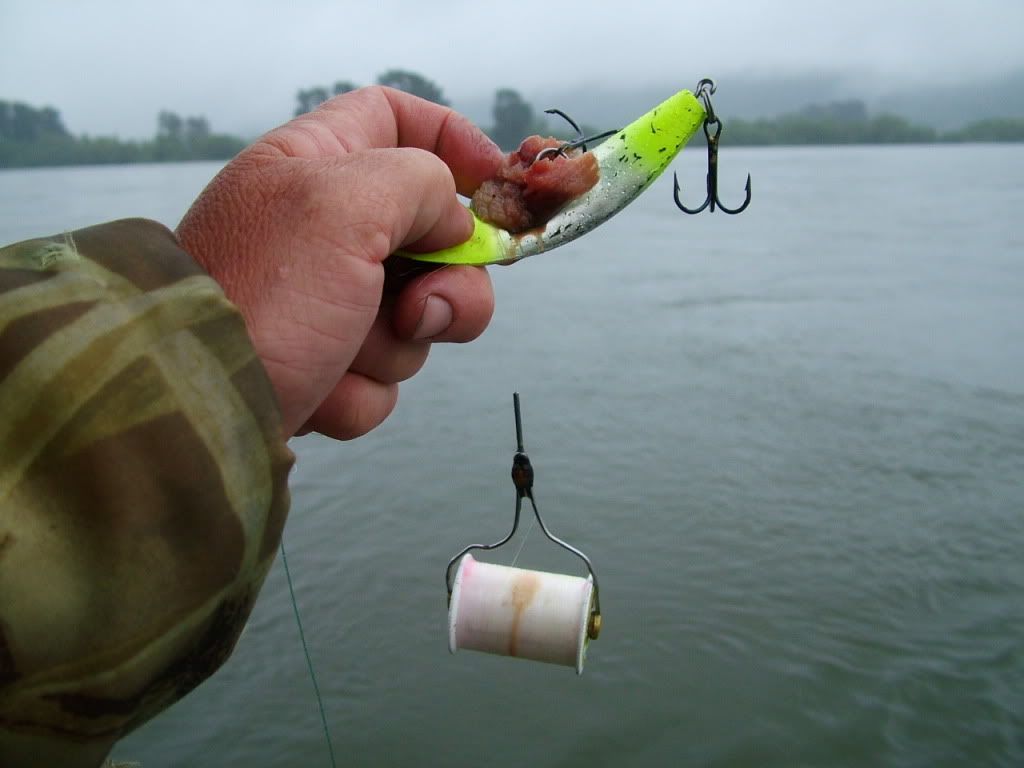 One theory of how to fish Kwikfish in the Columbia IFish Fishing Forum